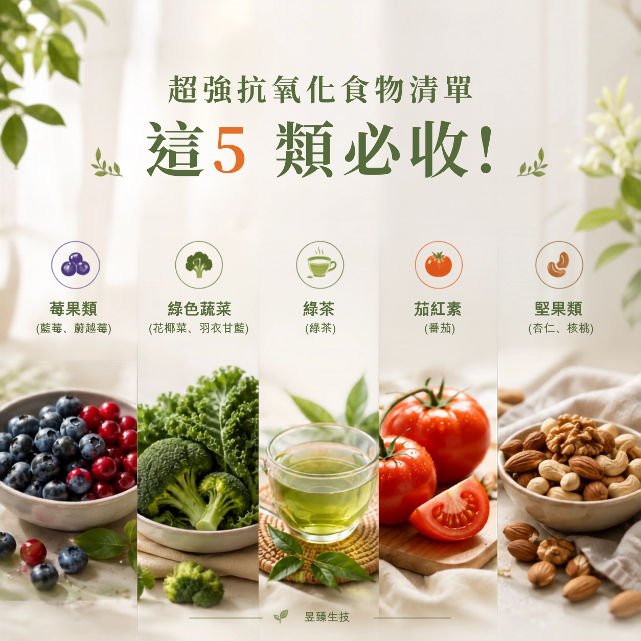 莓果類 (1)